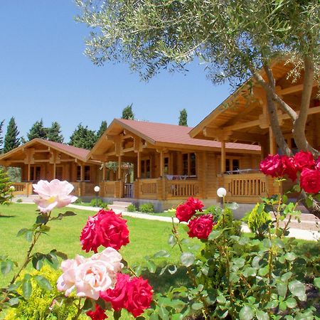 Sandys Studios Apartments And Log Villas Psalidi  Eksteriør bilde